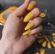 Накладні нігті із клеєм Technic Cosmetics False Nails Stiletto "Mustard Mayhem" 2216728 фото 2