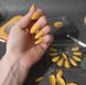 Накладні нігті із клеєм Technic Cosmetics False Nails Stiletto "Mustard Mayhem" 2216728 фото 4