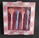 Набір пензликів для обличчя Royal Let's Face It Brush Set RCFBS фото 4