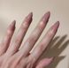 Накладні нігті із клеєм Technic Cosmetics False Nails Stiletto "Winter Rose" 2388448 фото 2