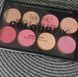 Палетка румян Technic Color Fix Blush Palette 1970160 фото 3