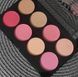Палетка румян Technic Color Fix Blush Palette 1970160 фото 4