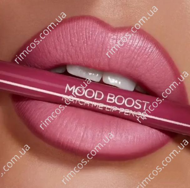 Увлажняющая помада с сияющим финишем Kiko Milano Mood Boost Born To Shine Lip Stylo MBBTSLS03BD фото