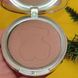 Бронзуюча пудра Tous Colors Bronzing Powder 01 1970764 фото 1