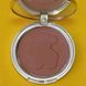 Бронзуюча пудра Tous Colors Bronzing Powder 01 1970764 фото 2