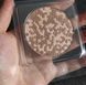 Пробник-запаска бронзуючої пудри MUA Pixel Perfect Multi-Bronze Sunseeker Sheen FS55 фото 2