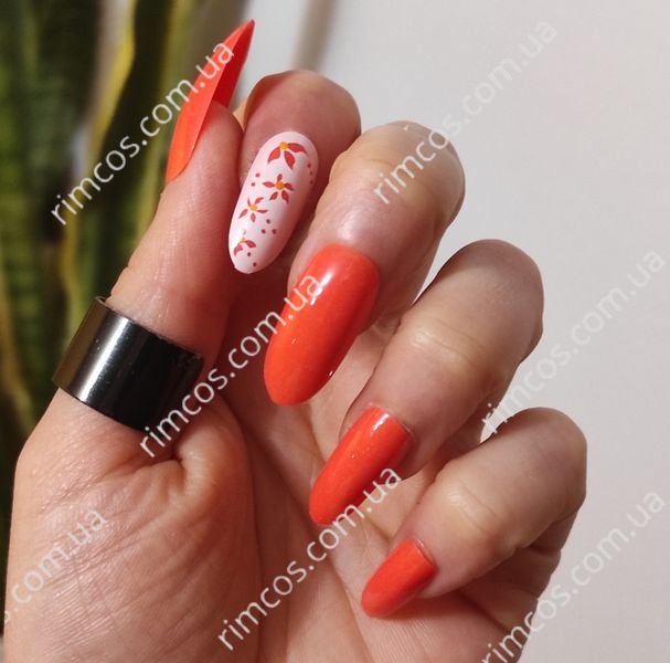 Накладні нігті в комплекті із клеєм Royal Cosmetics 24 Glue-On Nail Tips "Sweet Life" 2215957 фото